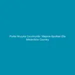 Portal muzyka countryinfo: Miejsce spotkań dla miłośników country