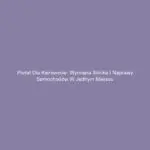 Portal dla kierowców: Wymiana silnika i naprawy samochodów w jednym miejscu