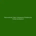 Różnorodność treści i innowacyjne podejście na portalu icomkylos.pl