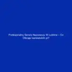 Profesjonalny serwis naprawczy w Lublinie – co oferuje iserwislublin.pl?