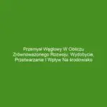 Przemysł węglowy w obliczu zrównoważonego rozwoju: Wydobycie, przetwarzanie i wpływ na środowisko