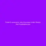 Portal e-commerce jako kluczowe źródło wiedzy dla przedsiębiorców
