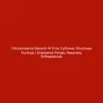 Odzyskiwanie danych w erze cyfrowej: Kluczowe funkcje i znaczenie portalu Recovery Softwarecouk