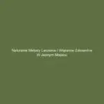 Naturalne metody leczenia i wsparcie zdrowotne w jednym miejscu