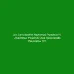 Jak samodzielnie naprawiać przedmioty i urządzenia: poradniki oraz społeczność pasjonatów DIY