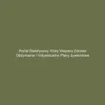 Portal dietetyczny, który wspiera zdrowe odżywianie i indywidualne plany żywieniowe