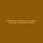 Portal serwisowy dla kierowców w Lublinie – odkryj jego funkcjonalności i korzyści