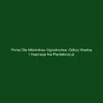 Portal dla miłośników ogrodnictwa: odkryj wiedzę i inspiracje na Plantatorzy.pl