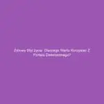 Zdrowy styl życia: Dlaczego warto korzystać z portalu dietetycznego?