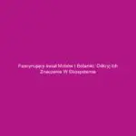 Fascynujący świat mchów i botaniki: odkryj ich znaczenie w ekosystemie