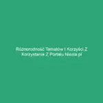 Różnorodność tematów i korzyści z korzystania z portalu niezla.pl