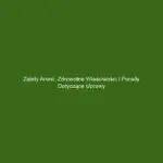 Zalety aronii: zdrowotne właściwości i porady dotyczące uprawy