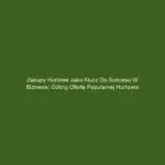 Zakupy hurtowe jako klucz do sukcesu w biznesie: odkryj ofertę popularnej hurtowni