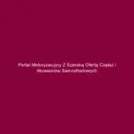 Portal motoryzacyjny z szeroką ofertą części i akcesoriów samochodowych