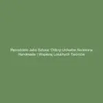 Rękodzieło jako sztuka: Odkryj unikalne akcesoria handmade i wspieraj lokalnych twórców