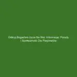 Odkryj bogactwo życia na wsi: informacje, porady i społeczność dla pasjonatów