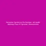 Narzędzia ogrodnicze dla każdego: Jak łopatki ułatwiają prace w ogrodzie i budownictwie