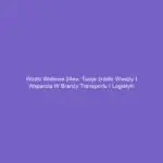 Wózki widłowe 24eu: Twoje źródło wiedzy i wsparcia w branży transportu i logistyki