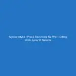 Agroturystyka i praca sezonowa na wsi – odkryj uroki życia w naturze