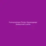 Funkcjonalności portalu wspierającego społeczność Lublina