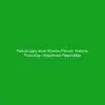 Fascynujący świat miodów pitnych: historia, produkcja i wspólnota pasjonatów