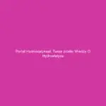 Portal hydrostatykapl: Twoje źródło wiedzy o hydrostatyce