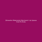 Zdrowotne właściwości marchewki i jej uprawa krok po kroku