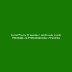 Portal wiedzy o wózkach widłowych: źródło informacji dla profesjonalistów i amatorów