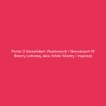 Portal o samolotach wojskowych i nowościach w branży lotniczej jako źródło wiedzy i inspiracji