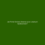 Jak portal gminne zmienia życie lokalnych społeczności?