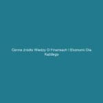 Cenne źródło wiedzy o finansach i ekonomii dla każdego