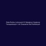 Rola portów lotniczych w globalnym systemie transportowym i ich znaczenie dla podróżnych