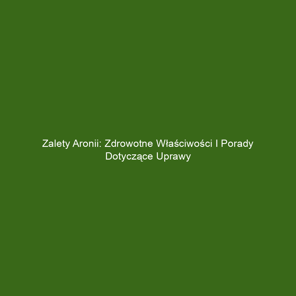 Zalety aronii: zdrowotne właściwości i porady dotyczące uprawy