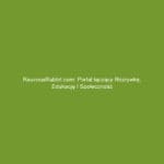 RaucousRabbit.com: Portal łączący rozrywkę, edukację i społeczność
