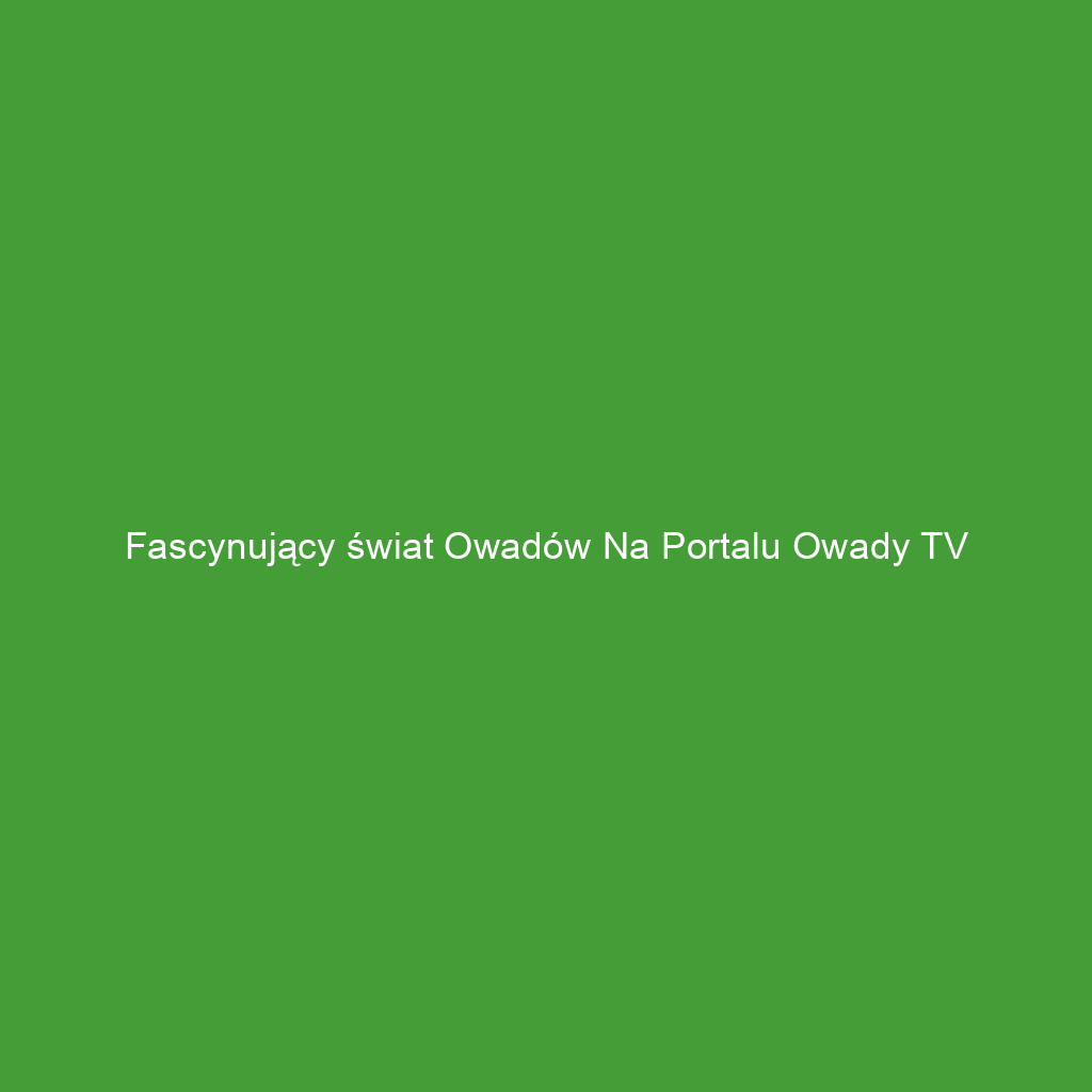 Fascynujący świat owadów na portalu Owady TV