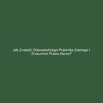 Jak znaleźć odpowiedniego prawnika karnego i zrozumieć prawo karne?
