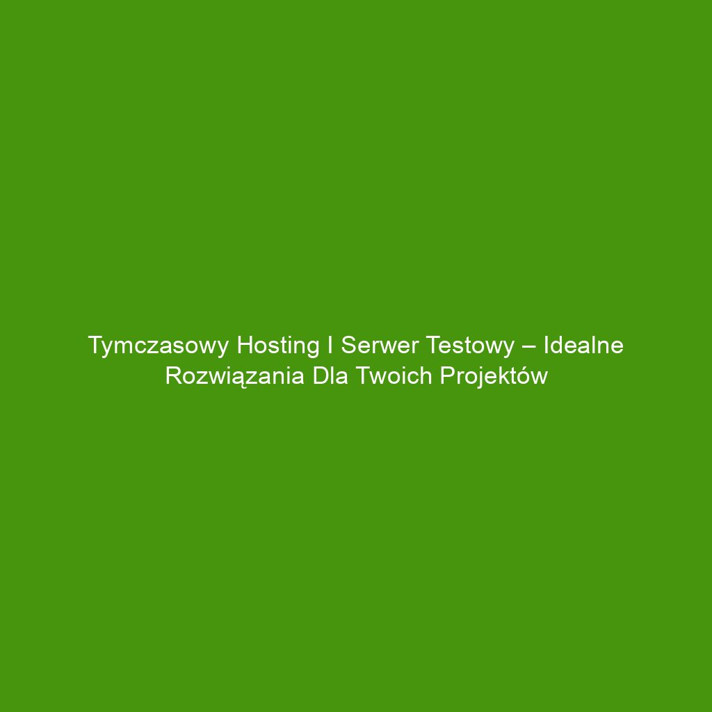 Tymczasowy hosting i serwer testowy – idealne rozwiązania dla Twoich projektów