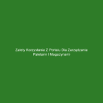 Zalety korzystania z portalu dla zarządzania paletami i magazynami